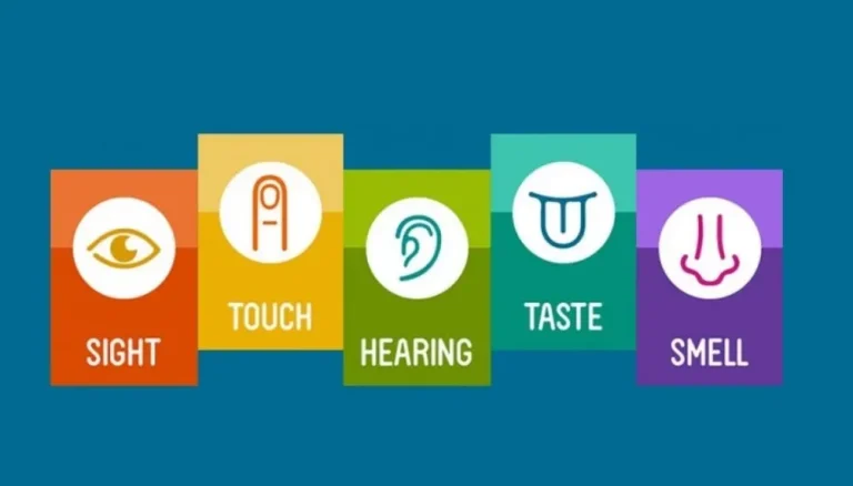 Sensory Branding: Tiếp thị đa giác quan (Nhìn, Nghe, Ngửi…)